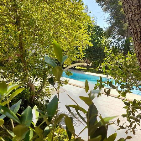 Вилла La Dimora Dei Gelsi Castri di Lecce Экстерьер фото